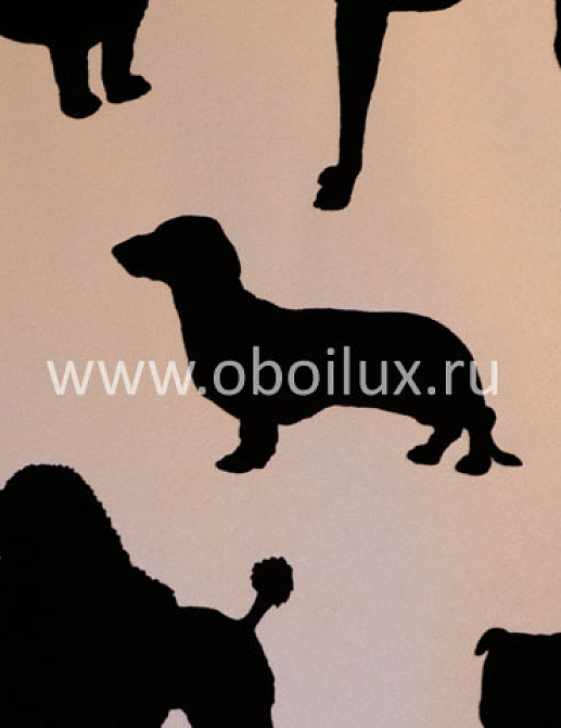 Обои Osborne & Little Walk in the Park W5872-02