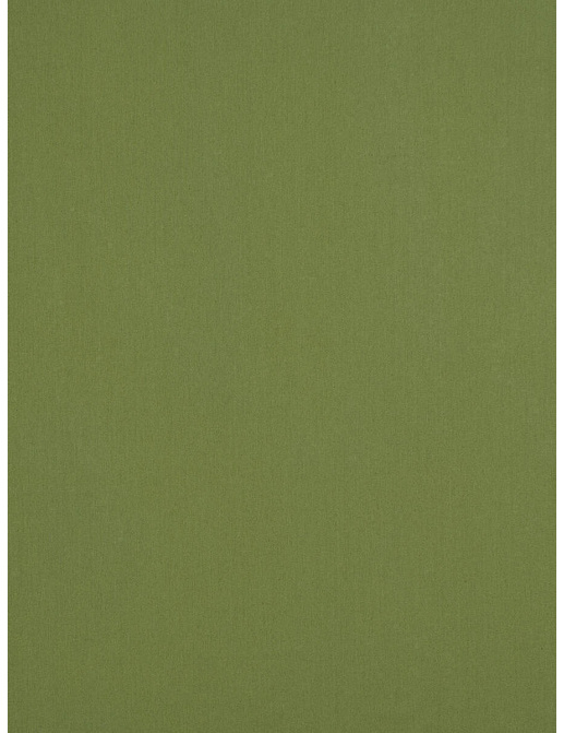 Ткань Fabricut Cotton Sateen Savvy Savvy/Grass