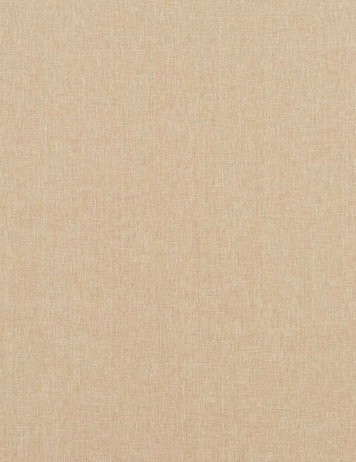 Ткань Baker Lifestyle Notebook Carnival Plain PF50420/130