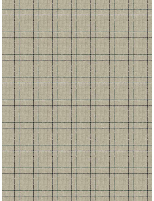 Ткань Fabricut Checks&Stripes Avalon Lane BishopCheck/Rain