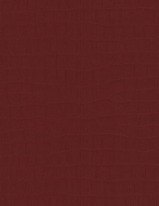 Обои A. S. Creation Dekora Natur VI 6651-26