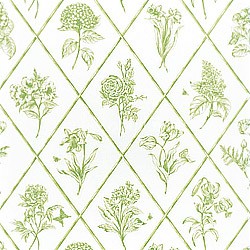 Обои Thibaut Toile Resource II T9762