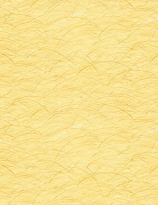 Обои York Carey Lind - Organic Finishes ZV6802W