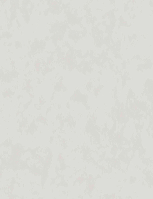 Обои Villa Nova Serene wallcoverings W625/04