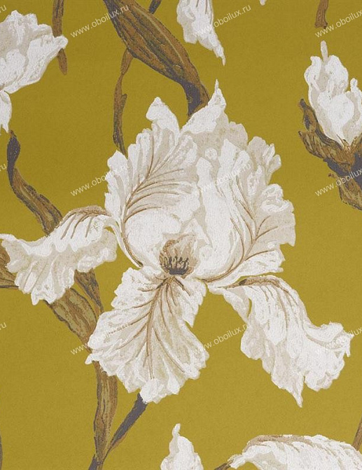 Обои Casamance Absolue 9530113