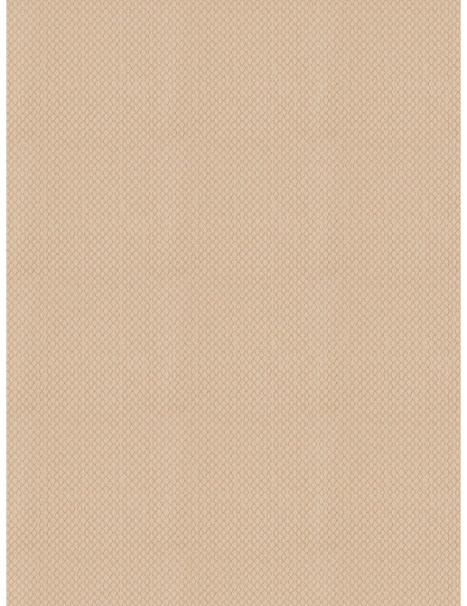 Ткань Trend Dijon Taupe Prints & Wovens Vol.VI 03653/Cashmere