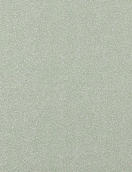 Ткань KAI Mirage Metsi/Aloe