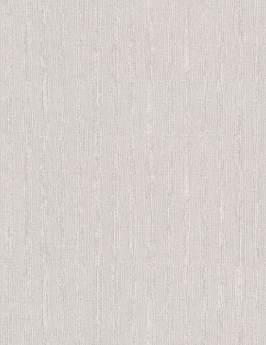 Обои Rasch Wall Textures XL Vol3 975529