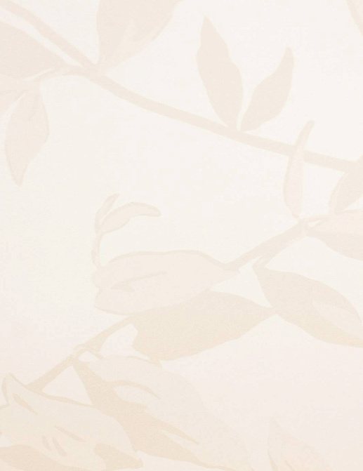 Обои Casadeco So White 2 SWI24991125