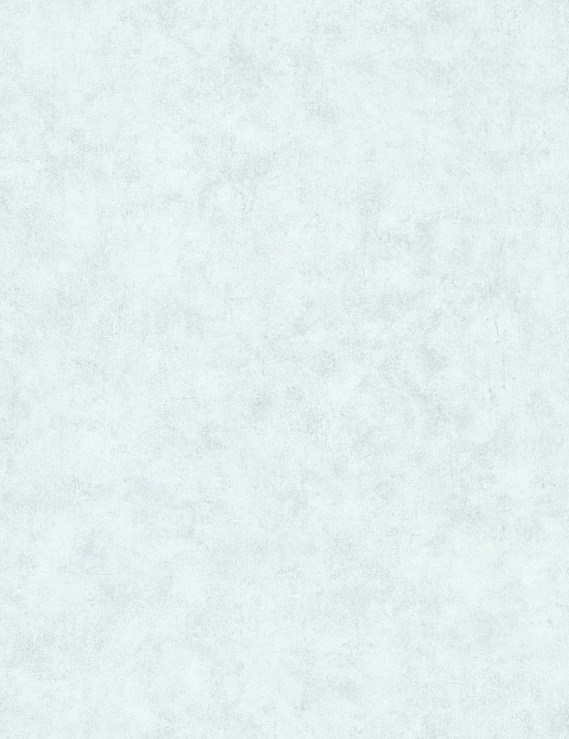 Обои Caselio Beton 2 BTO101486012