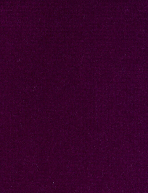 Ткань Alessandro Bini Velluto di Cotone G075/510