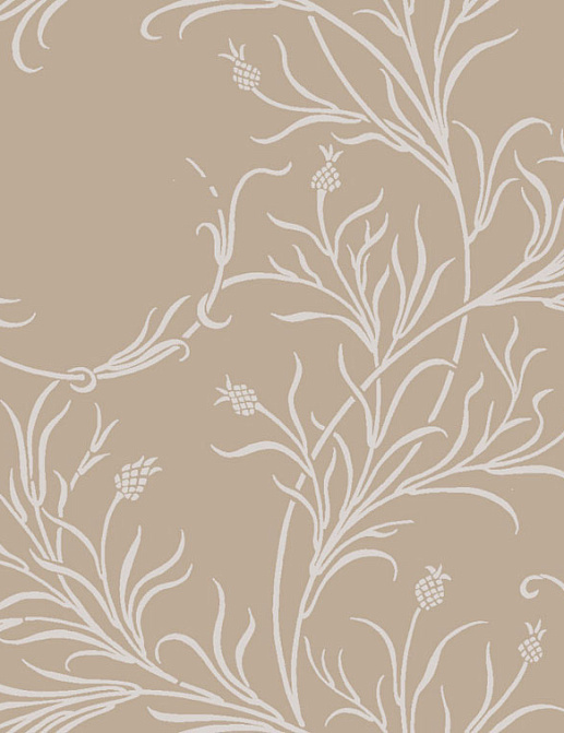 Обои Cole & Son Collection of Flowers 81/12054