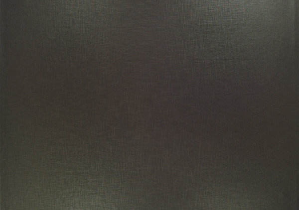 Ткань Designers Guild Molveno FT1333/10
