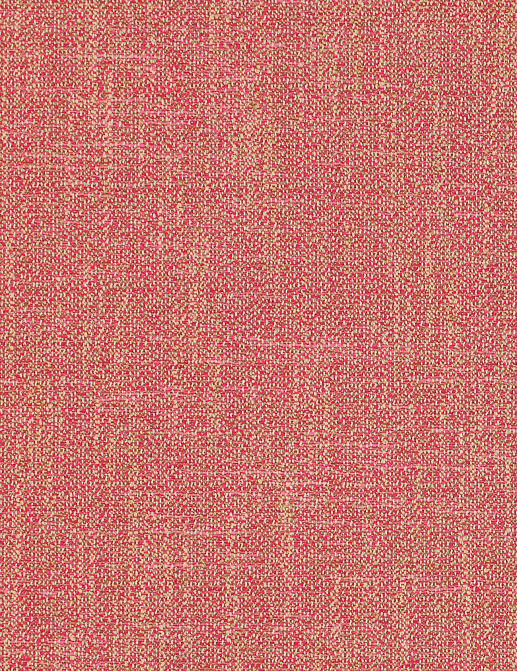 Ткань Manuel Canovas Sarla 04933/09