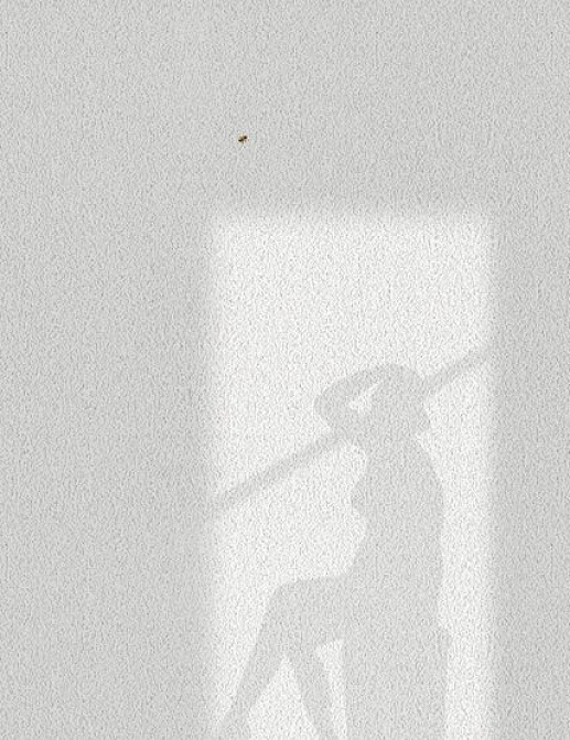 Панно и фотообои JWall One WJE01111