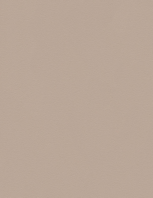 Обои A. S. Creation Die Glatte Wand 309167