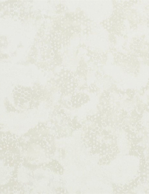 Обои Designers Guild Palasini PDG647/01