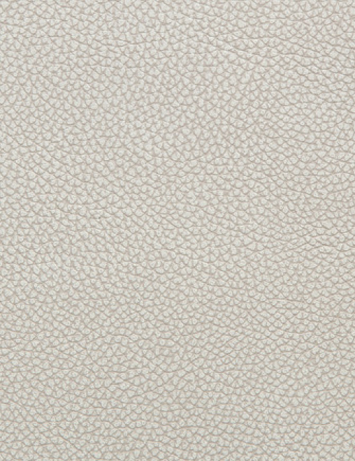 Ткань Holly Hunt Holly Hunt Leather 6013/31