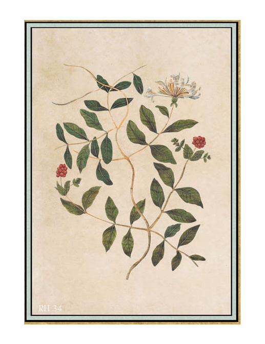 Панно и фотообои Iksel Scenic & Architectural Wallpapers Renaissance Herbier RH34