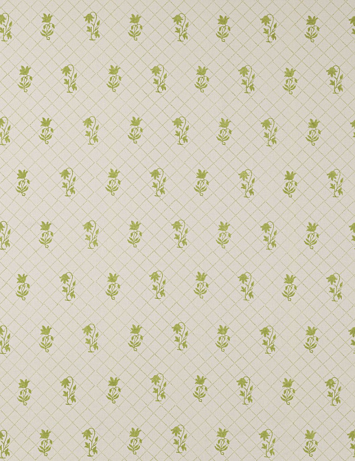 Ткань Colefax and Fowler Ashmead F4753/01