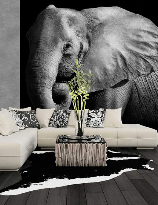Панно и фотообои Decoprint Mood MD903013