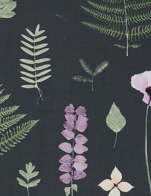 Ткань Clarke & Clarke Botanica F1089/03