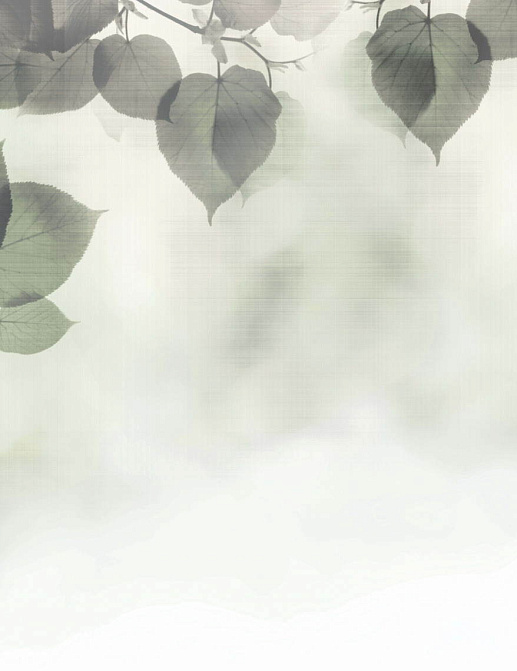 Обои Glamora Creative Wallcovering GLFR30A