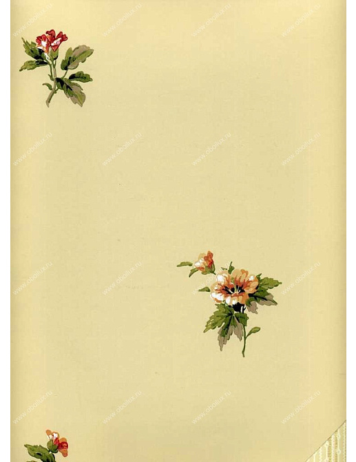 Обои York Ashford House - Flowers S.E. WU0725