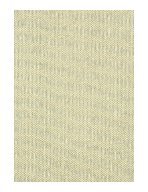 Обои Thibaut Grasscloth Resource III T41134