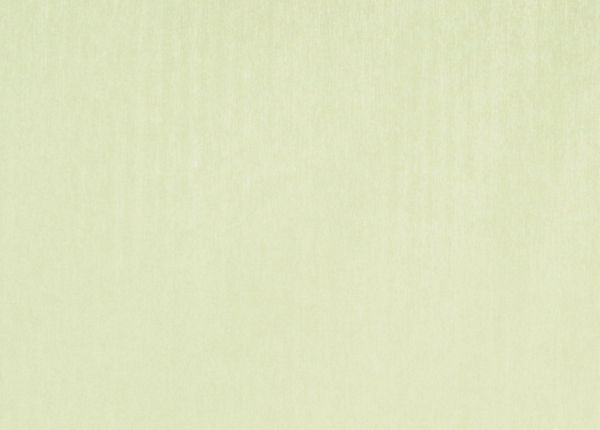 Ткань Designers Guild Brenan F1632/05