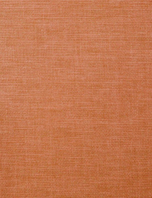 Ткань Ashley Wilde Lunar Lunar/Paprika