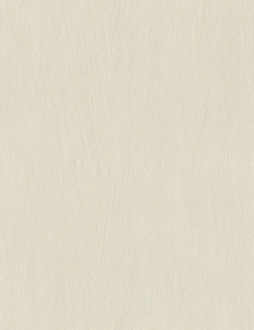 Обои Rasch Allegretto 540819