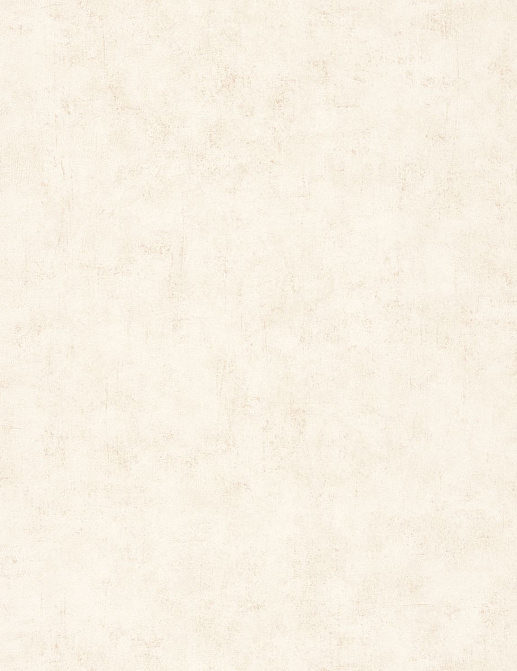 Обои Caselio Beton 2 BTO101491019