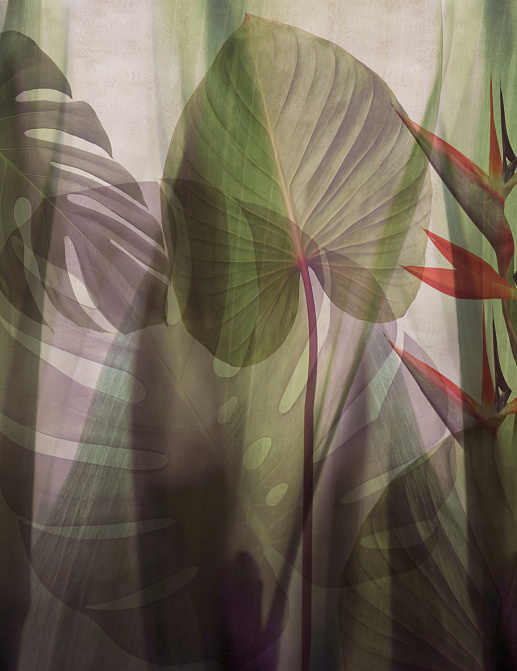 Панно и фотообои Glamora Creative Wallcovering GLRO104B