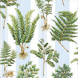 Ткань Thibaut Tidewater prints F99023