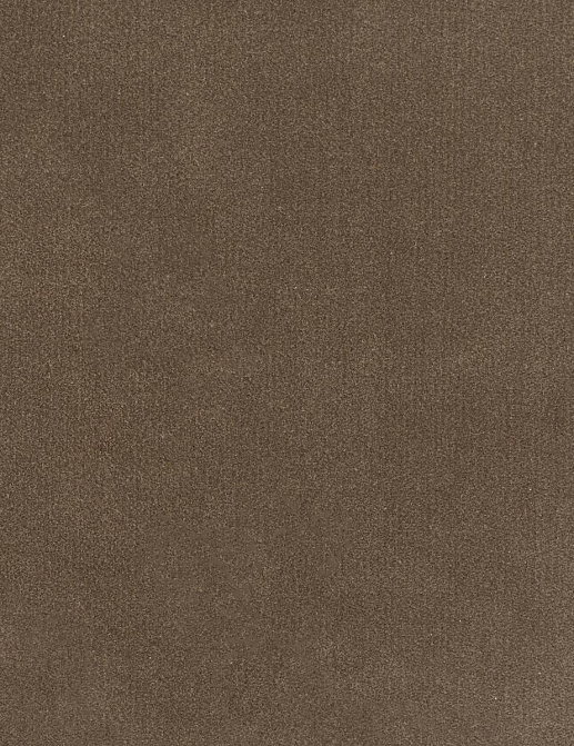 Ткань Loro Piana Doge Velvet AC3018/4