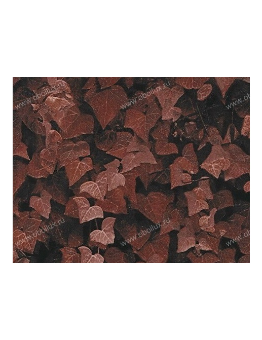 Обои Giardini Phlora & Phauna PH0102