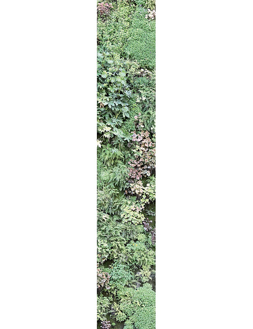 Панно и фотообои Caselio Accent ACE67187018