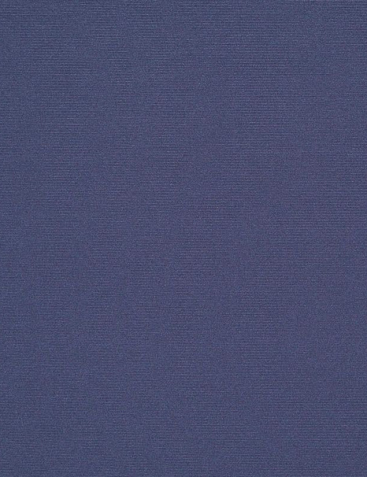 Ткань Daylight Welt Welt/Sapphire