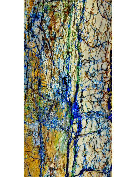 Панно и фотообои Tecnografica Decorative Panels 71335-3