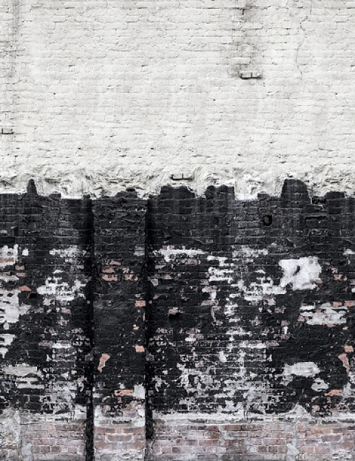 Панно и фотообои Rebel Walls No 7 Curious R14281