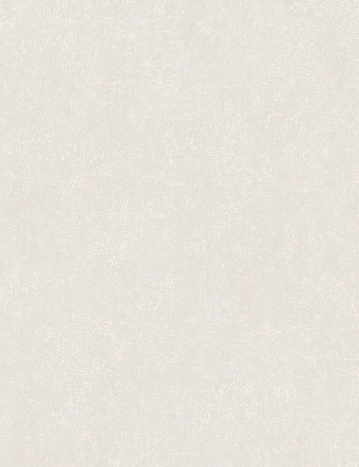 Обои Wallquest Studio Textures JT30904