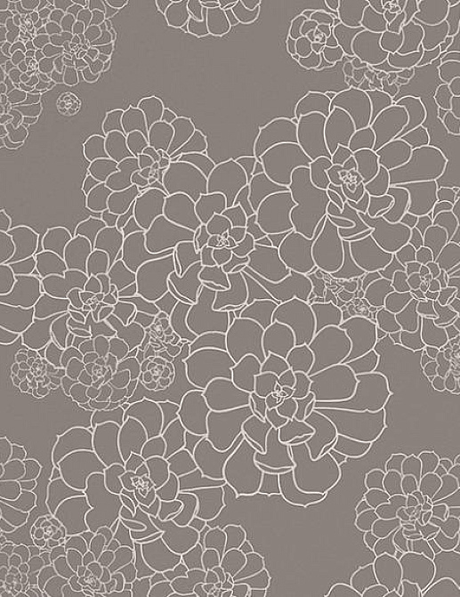 Обои Paint & Paper Library Tresco Aeonium Monument