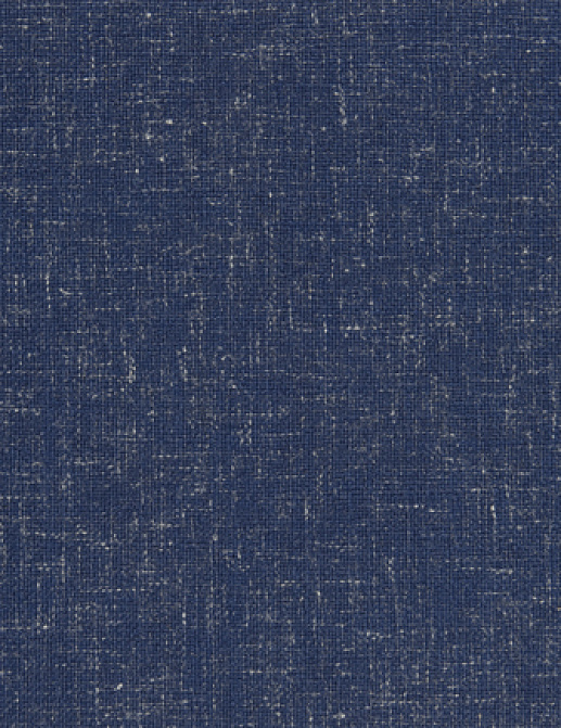 Ткань Designers Guild Panaro F1869/06