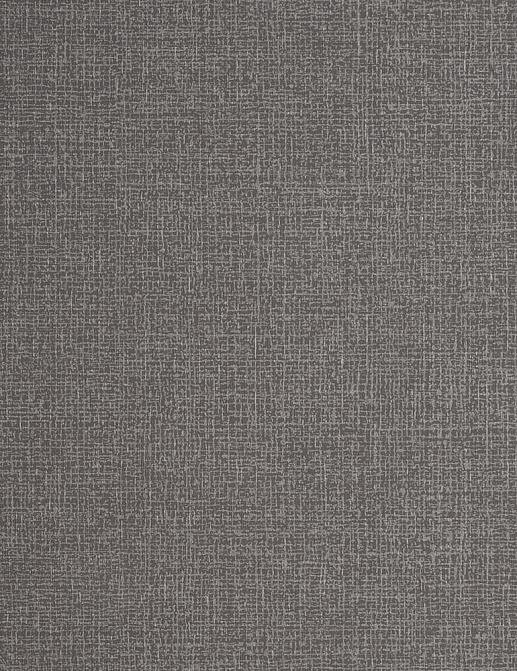 Обои Clarke & Clarke Reflections W0057/03