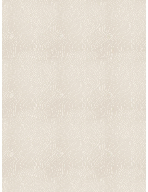 Ткань Fabricut Modern Nuances Vol.II Oyster Contour lines/Frost