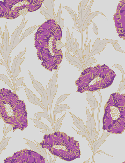 Обои Cole & Son Collection of Flowers 81/1004