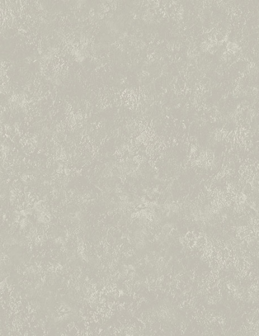 Обои Loymina Impress Stucco009
