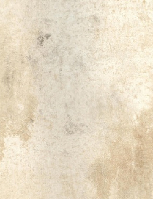 Обои Fresco Elegant SZ001477