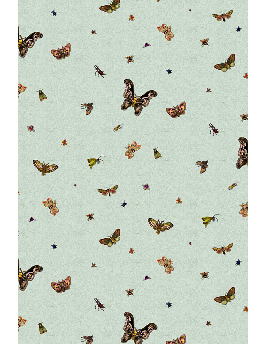 Обои Timorous Beasties Ruskin Collection RUS/NCR/MATT/03